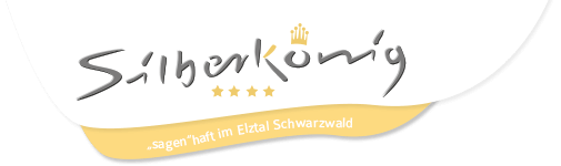 Ringhotel Silberkoenig